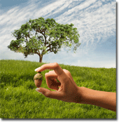 personal coaching